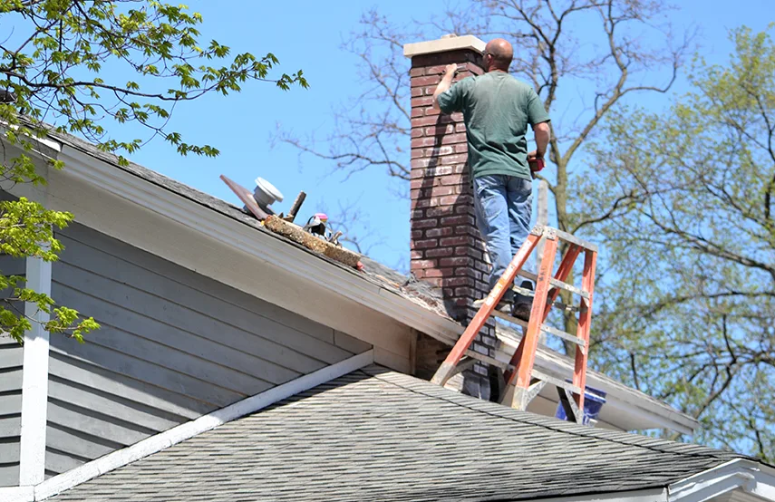 Chimney & Fireplace Inspections Services in Northbrook, IL